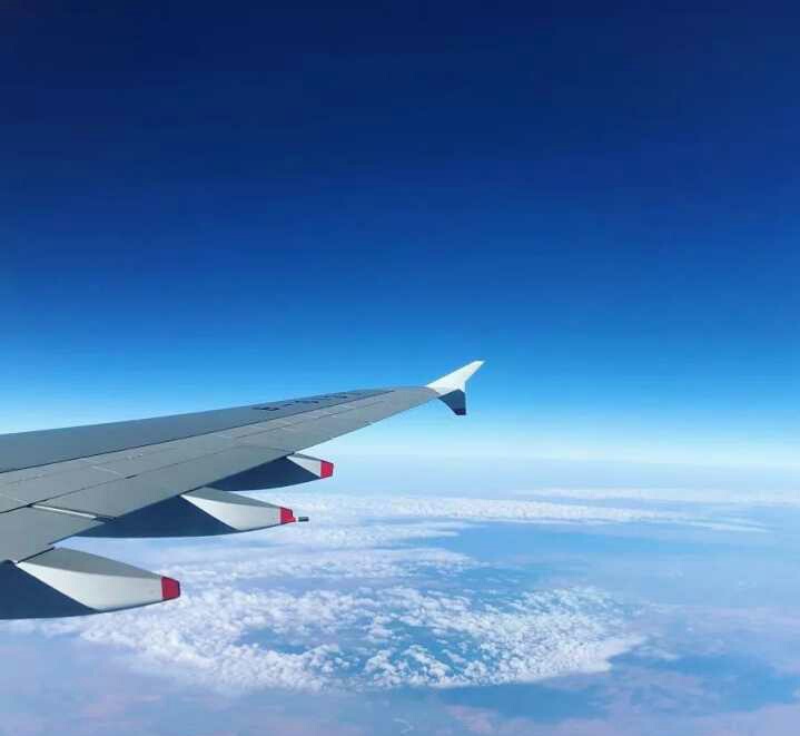 澳洲打工度假通过后是啥样的,澳洲打工就这么难吗