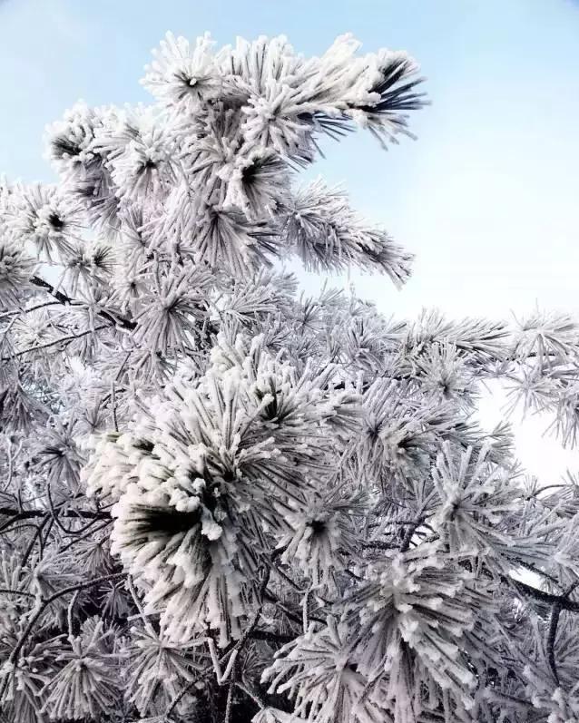 无论你是在哪一个季节来连州，连州都美如一幅画！