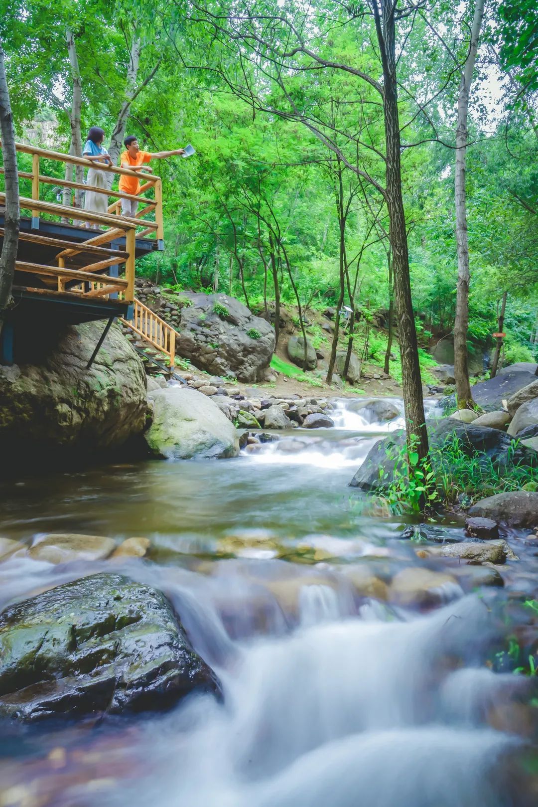 七夕仲夏夜|星空晚宴×丹青情书×入梦山水……雾灵山居C位浪漫