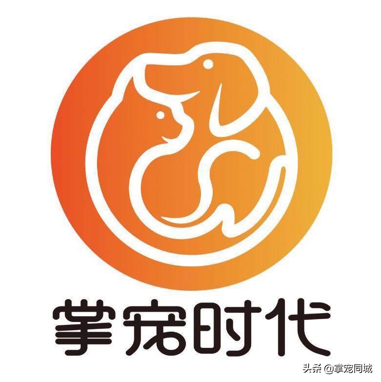 被宠物狗咬伤后的正确处理方法,狗咬伤处理指南