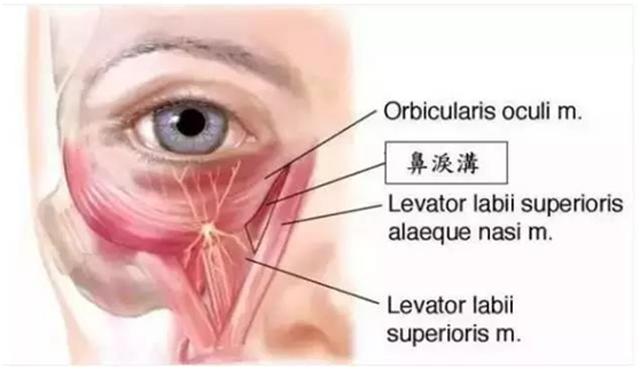 关于泪沟告诉你三个绝招,新手好上手的遮泪沟方法