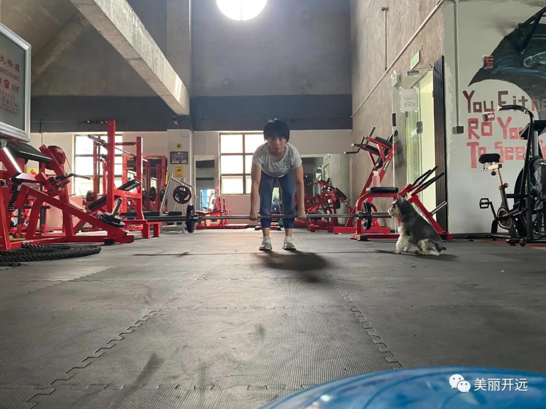 开远·人生百味|小猫的“猫咪森林”