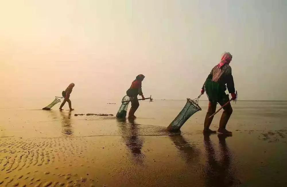 读辽宁历史感悟,盘锦旅游景点推荐二界沟