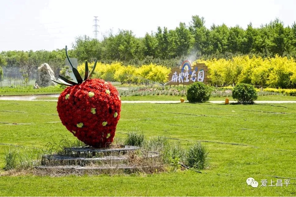 京郊适合亲子带娃的度假区,北京郊区亲子农庄比较适合遛娃
