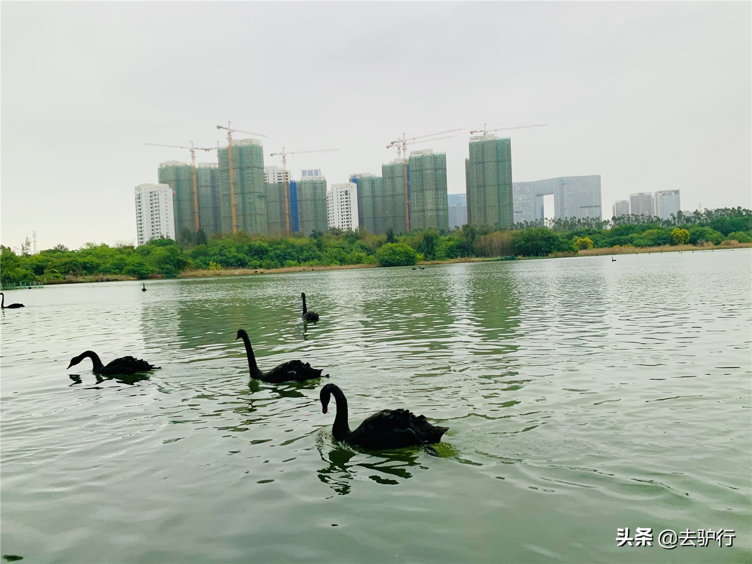 厦门富人区房屋,厦门富人村