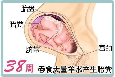 怀孕38周生孩子是早产还是足月,怀孕38周要生了去医院检查