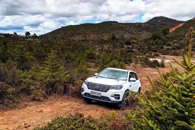 刹车有异响处理方法在这里,刹车一直有异响怎么解决