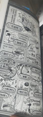 海贼王书籍选择 (海贼王书籍排名)