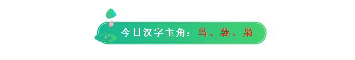 鸟汉字学习,鸟字的象形识字法