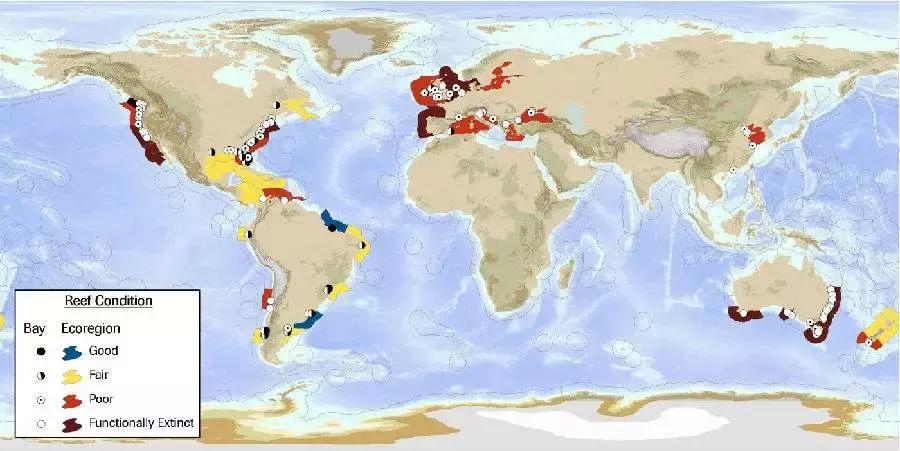 一入蚝门深似海生蚝,一入蚝门深似海从此虾蟹是路人