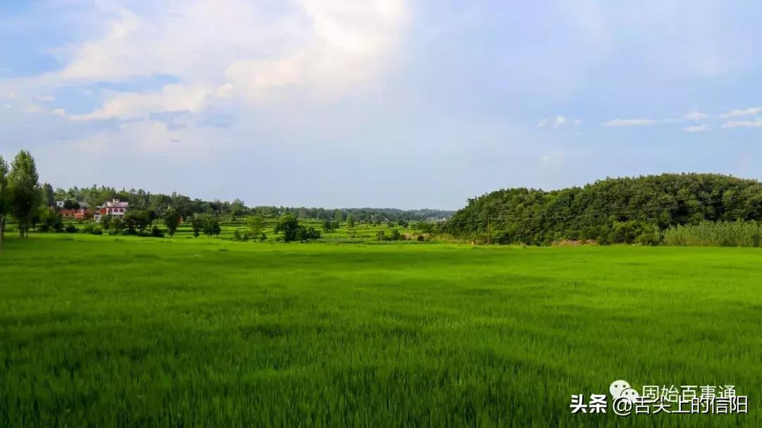 固始县特殊美食饮食文化,固始特色美食攻略