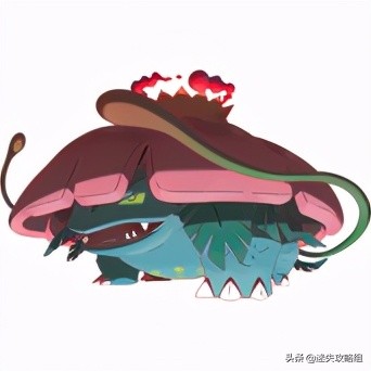 妙蛙种子不开花,妙蛙种子秘籍