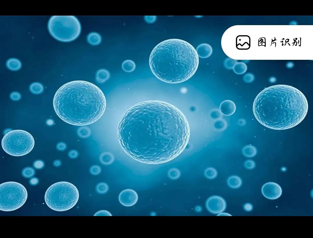 日本杂交实验成功了吗,日本突破的黑科技