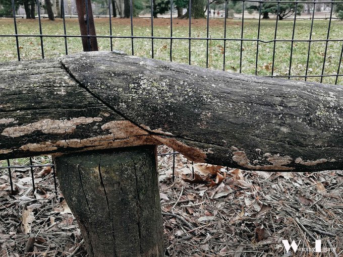 纽约中央公园世界奇迹,纽约中央公园浦东世纪公园