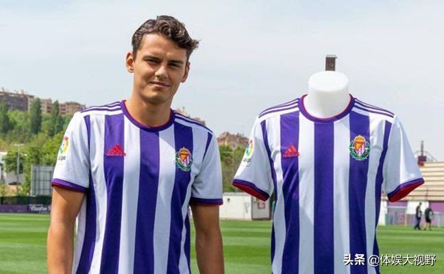 大罗耐克,大罗代言过中国什么广告