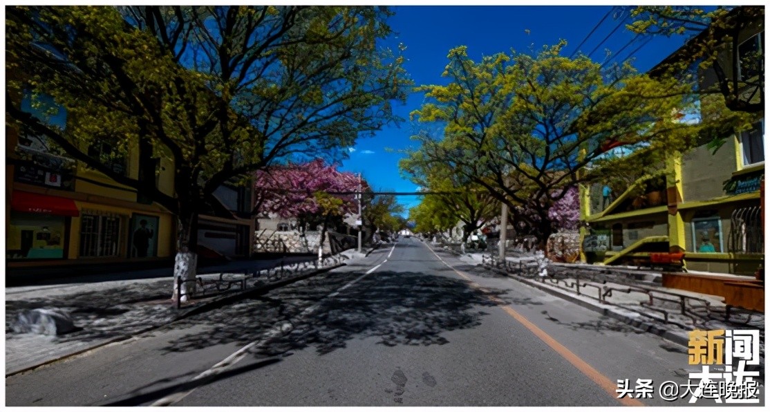 甘井子近郊露营地推荐,大连甘井子免费打卡景点