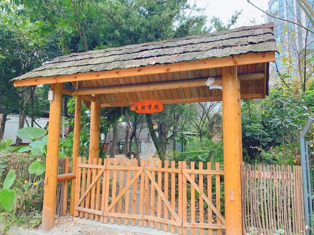 成都武侯探店,成都高性价比民办园