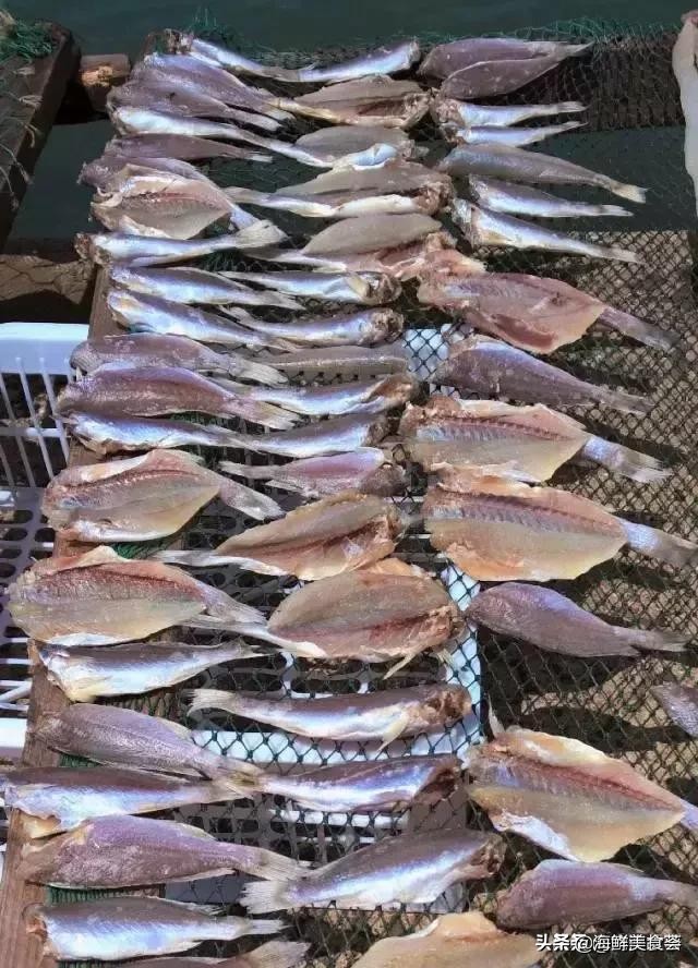 曾是四大海产之一,靠叫声互相识别,却被人类用噪声团灭