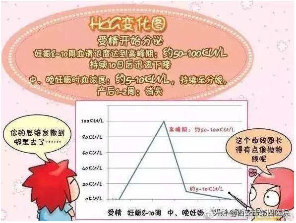 hcg雌二醇孕酮之间的关系,hcg与孕酮雌二醇的关系