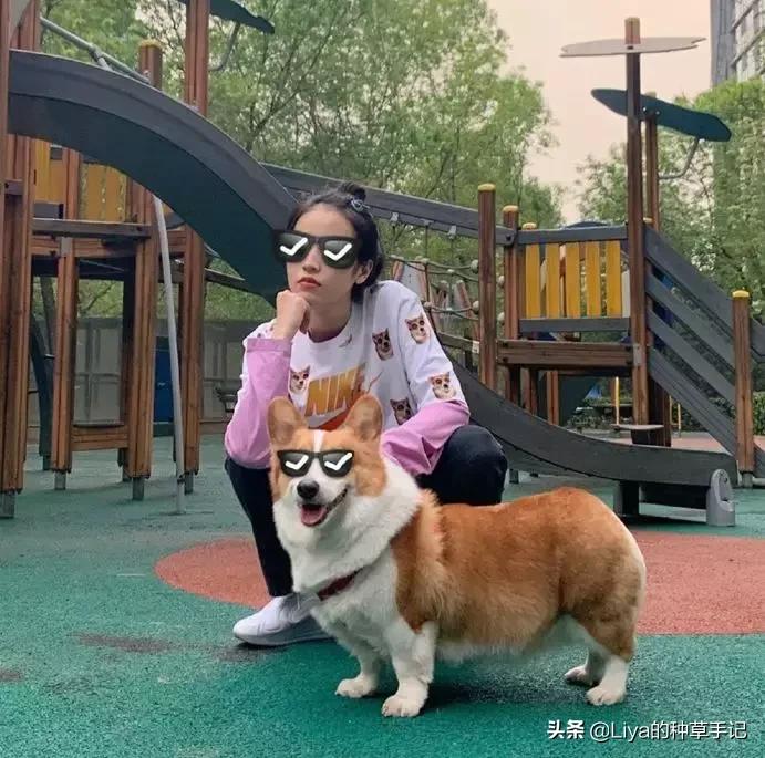 你是上镜脸吗,长脸女生适合怎么拍照