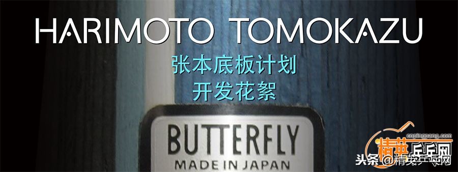 金标vis配t05好打吗,金标vis正手配d05还是t05