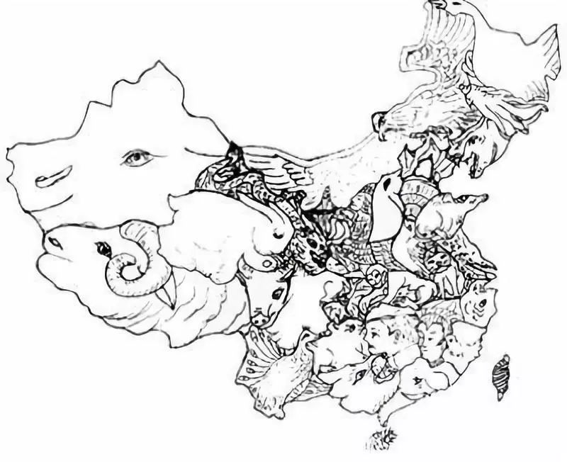 最强大脑的记忆法叫什么,最强记忆大脑记忆方法