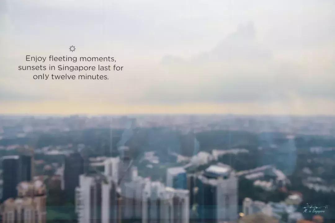 新加坡遛娃最佳地点,新加坡遛娃的好去处