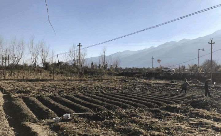 复产“春耕”第三天，张叔手指被折后索赔，对方：“各扫门前雪”