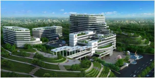 广东江门市新会区妇幼保健院招聘,新会妇幼保健院2024年招聘