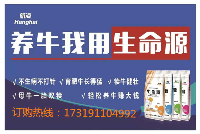 母牛坐月子的方法,母牛产后没有恶露正常吗