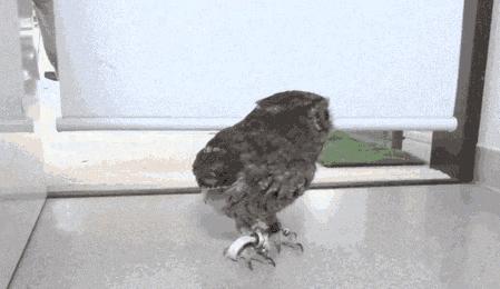 广大学子如何顺利通过毕业答辩？