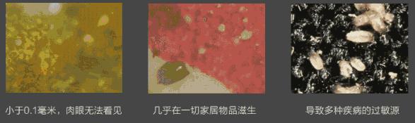 白天身上螨虫多是什么症状,身上螨虫多影响护肤吗