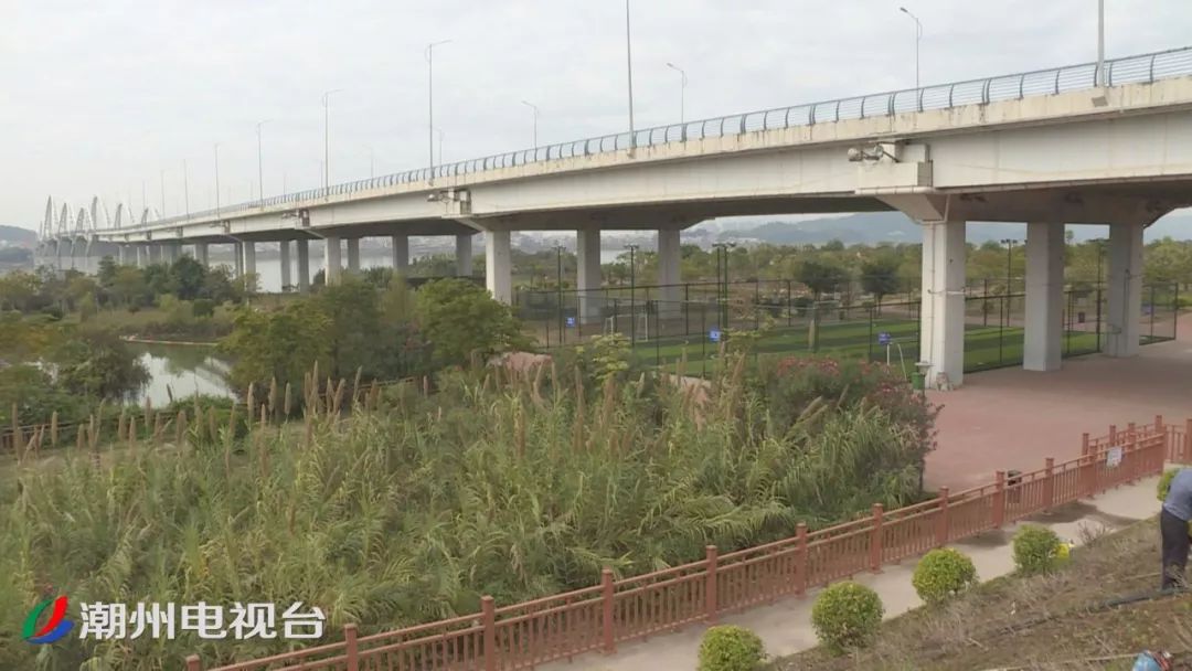 湿地公园免费政策,潮州湿地公园足球场要预约吗