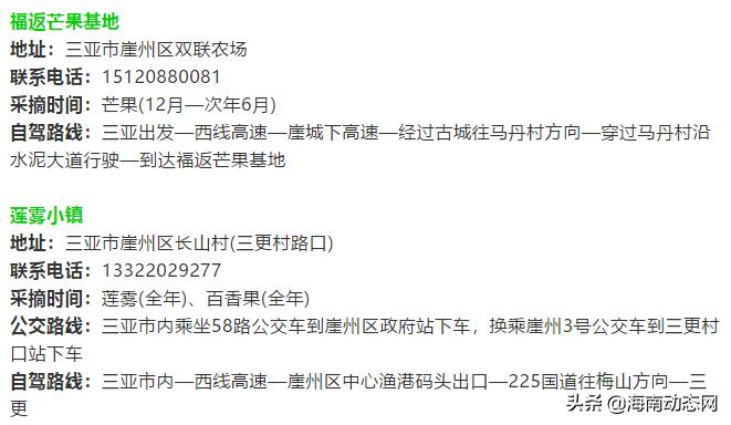 趁着春光出游海南,趁着春光明媚去旅行