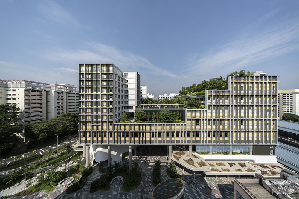 漫步绿树成荫的街道,绿树成荫环境怡人小区