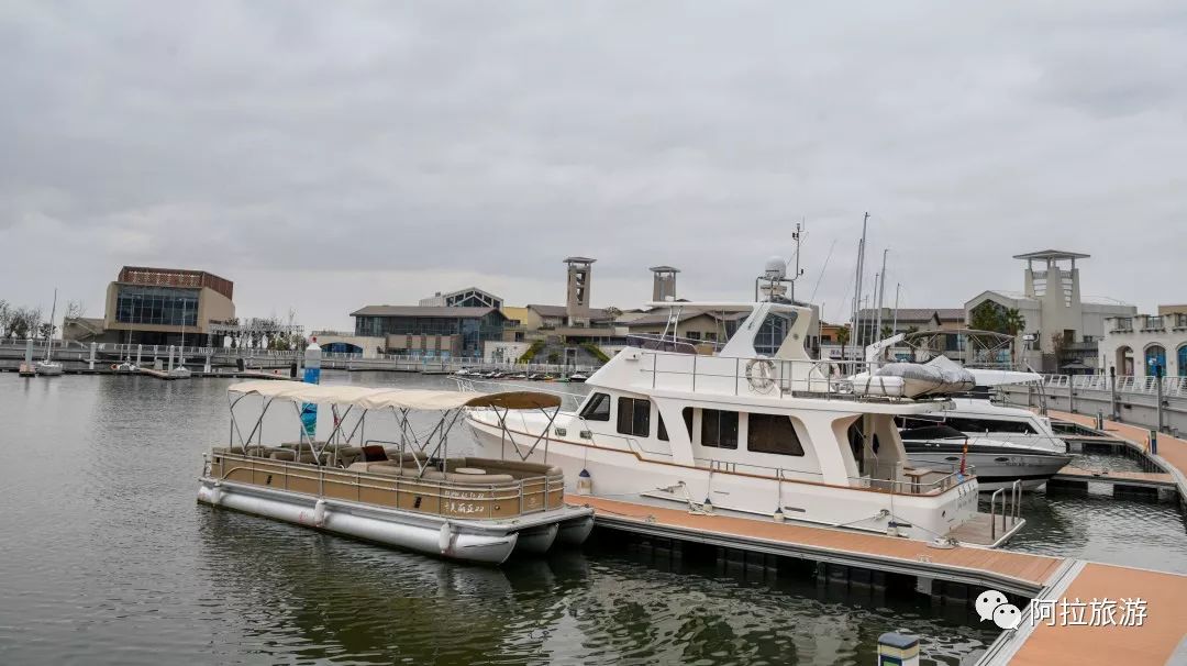 时髦！这座沿海小城居然藏着一波小众新玩法！|“...