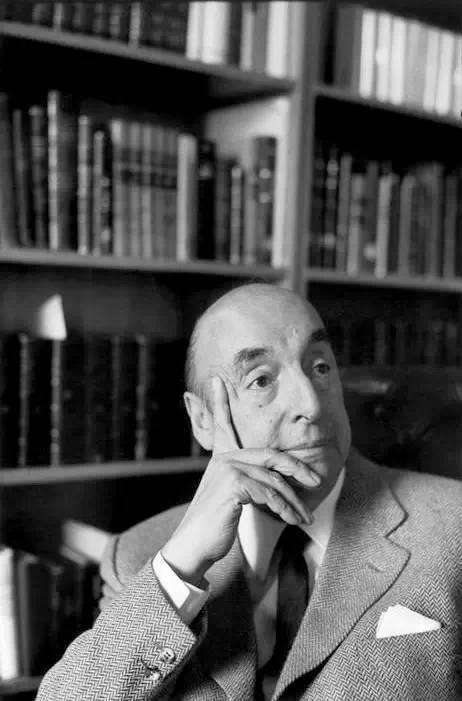 朝鲜蓟在中国叫什么,朝鲜蓟是不是洋蓟