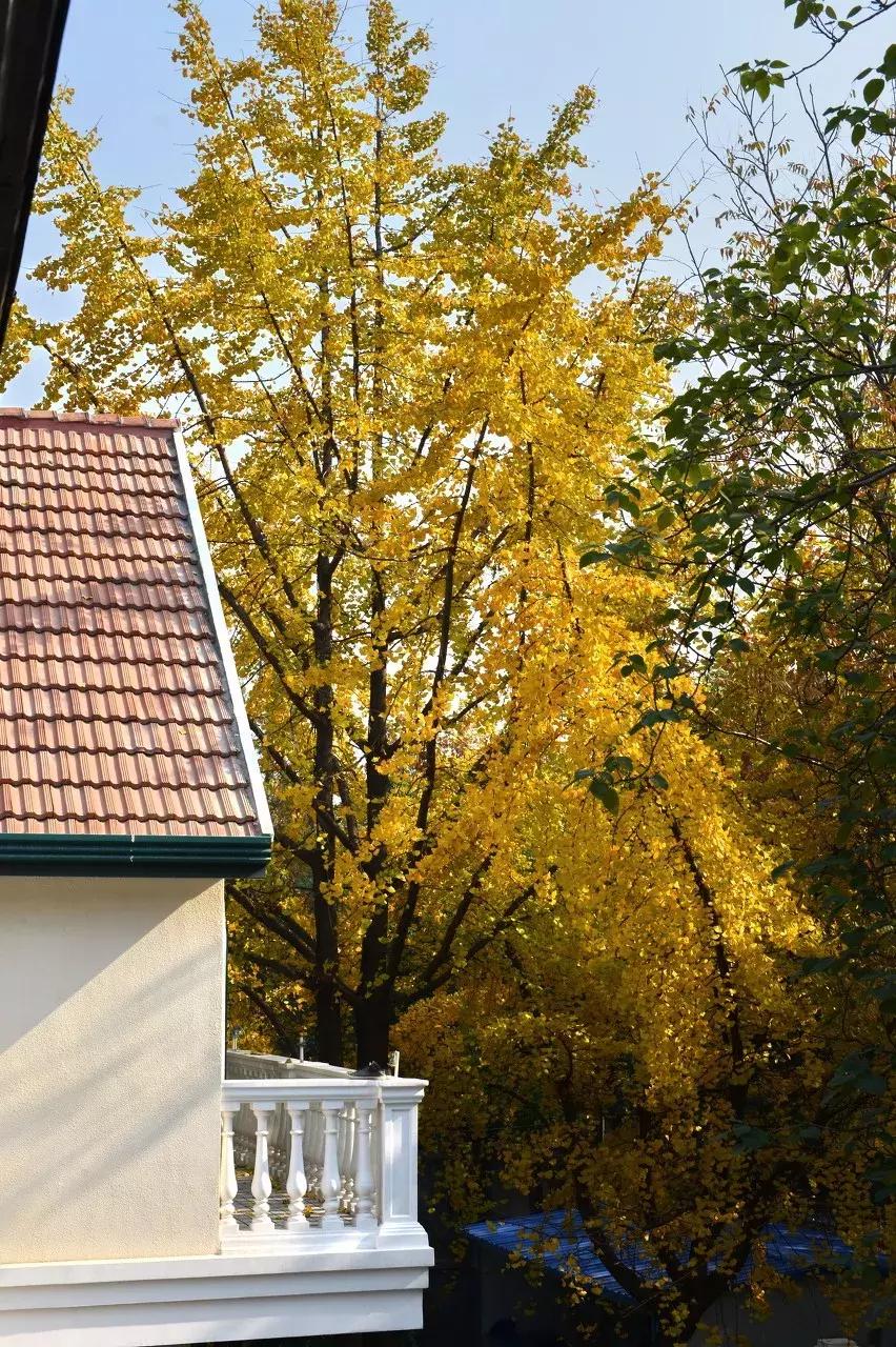 徐汇是啥,徐汇在哪里