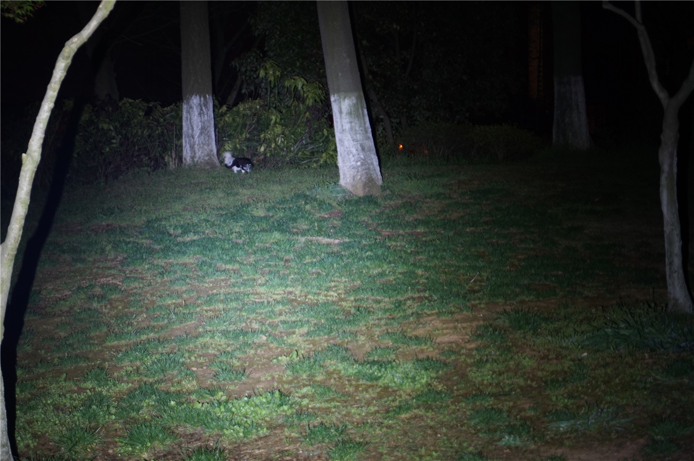 纳丽德p80手电使用时间测评,纳丽德手电p80测评