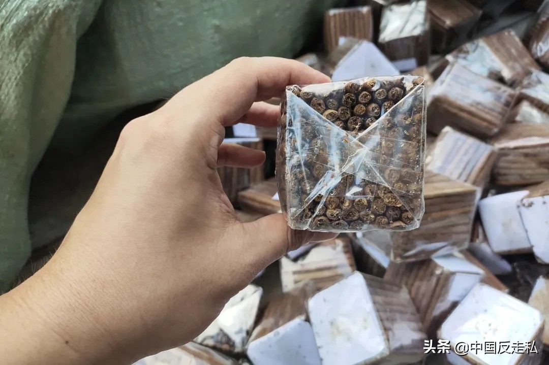 国门利剑缉私案件,防城港海上香烟走私案件