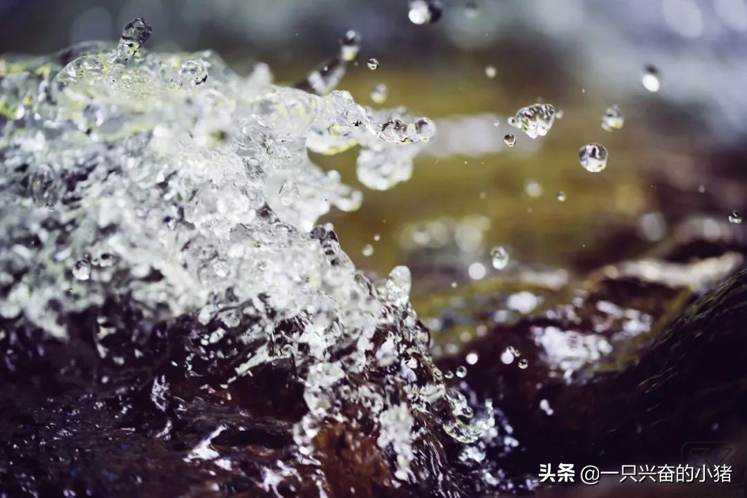 做短视频vlog需要的工具,拍vlog的脚本需要每天写吗