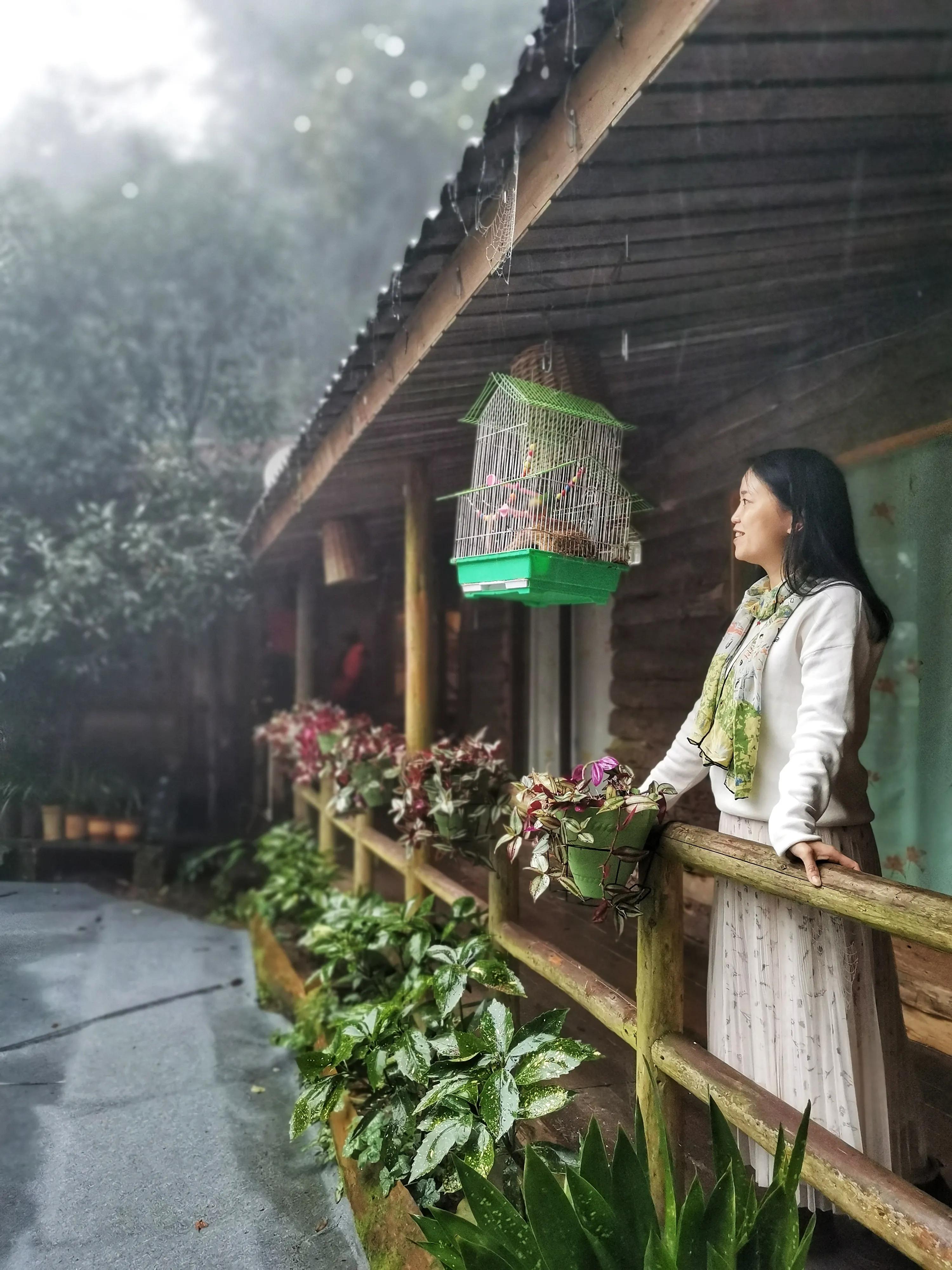 铜梁巴岳山森林木屋,巴岳山树屋