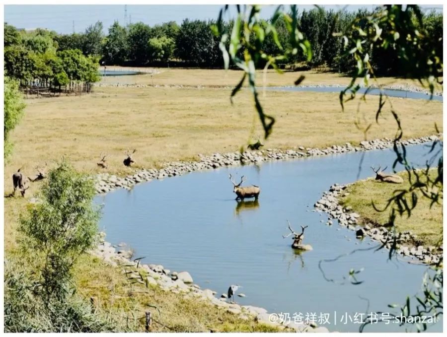 去北京不可错过的地方,不去热门景点游北京
