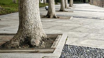 最高时速可达80公里小时,最高时速可达180公里以上