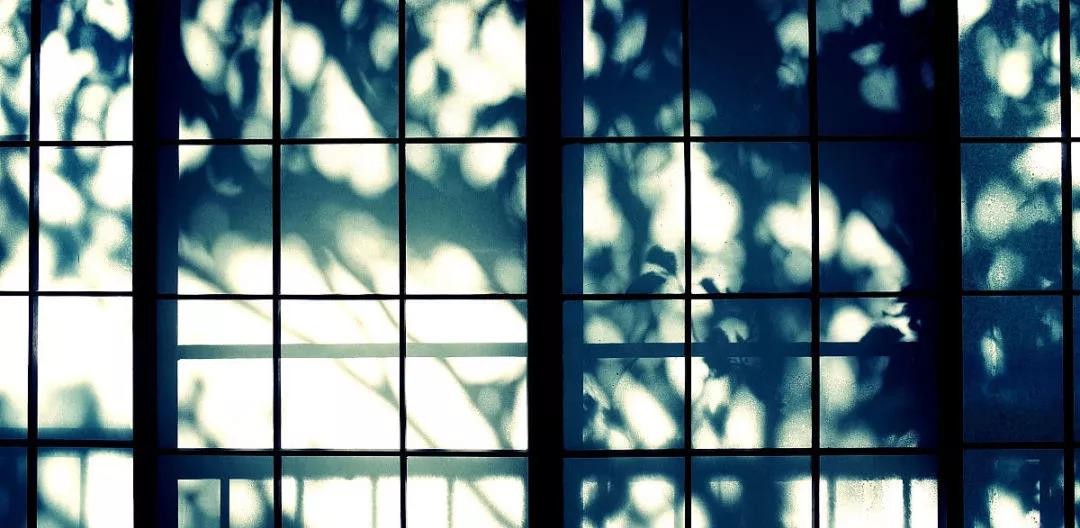 集美区生活,集美生活日常