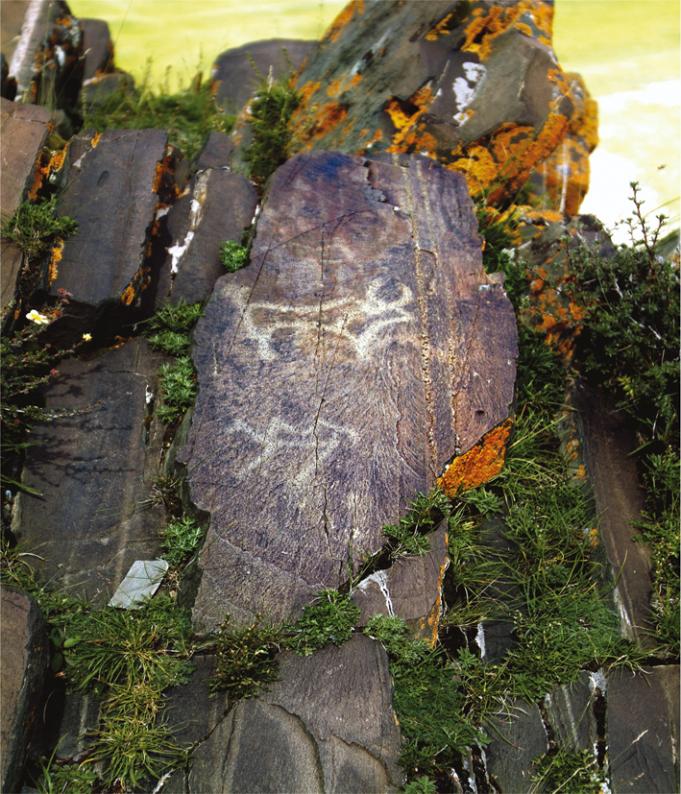 天峻风景美图集,天峻旅游排行