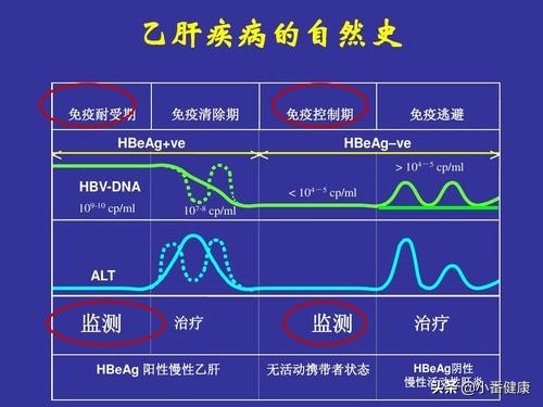 乙肝小三阳抗病毒标准及最佳时间,乙肝小三阳要注意哪些饮食
