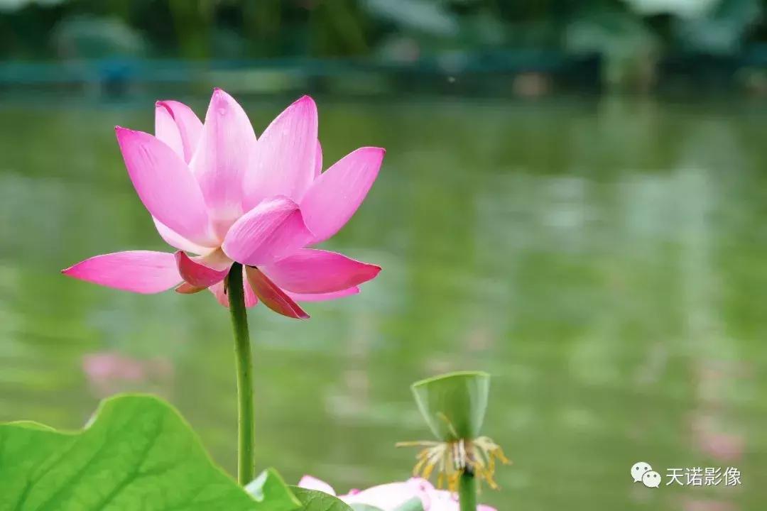 一万预算买徕卡,新手入门相机推荐1000元以内徕卡