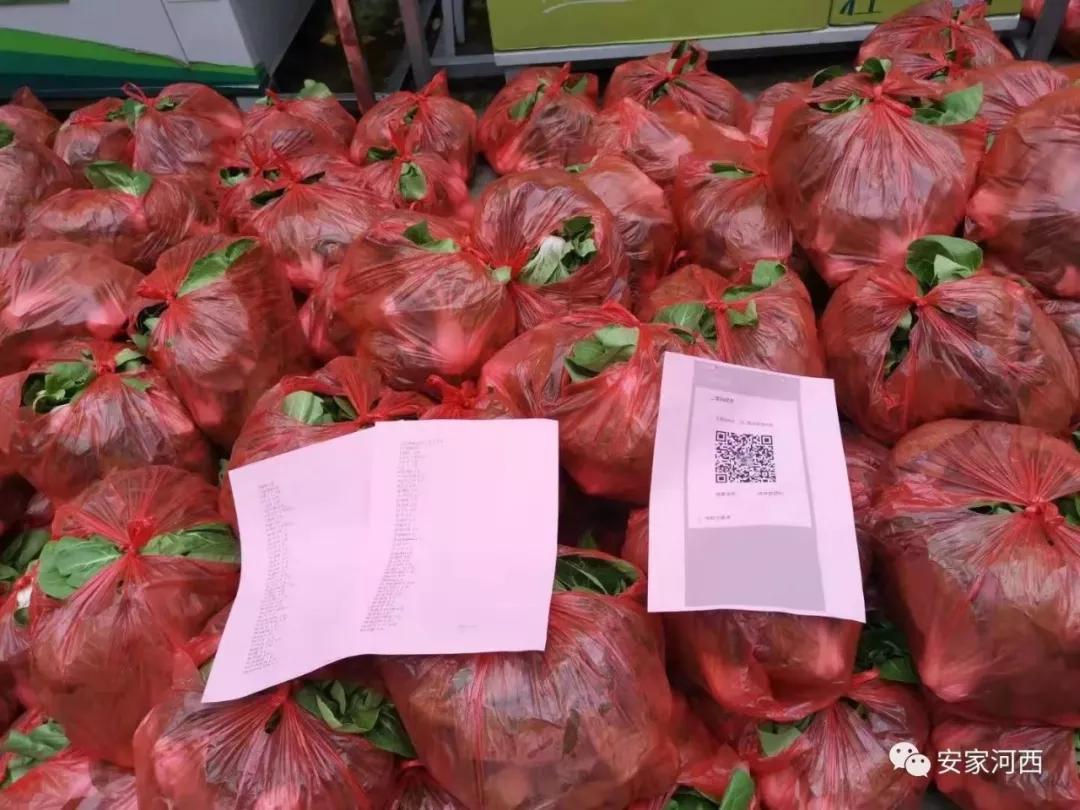 合肥10大物业服务大比拼,旭辉、融创、万科、禹洲上榜