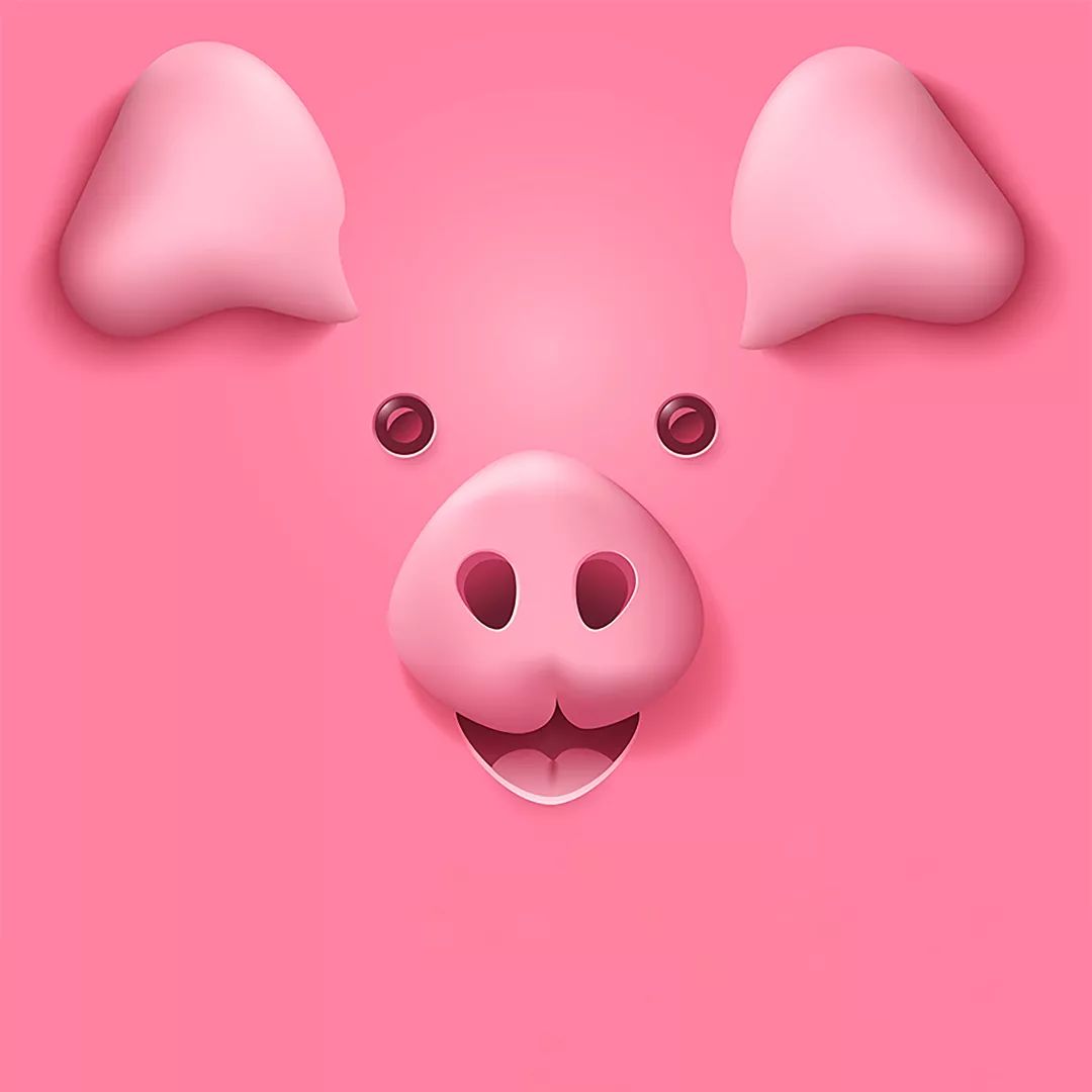 欣赏猪币，美美猪年！